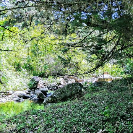 Cabana Mountain View Heredia Dış mekan fotoğraf