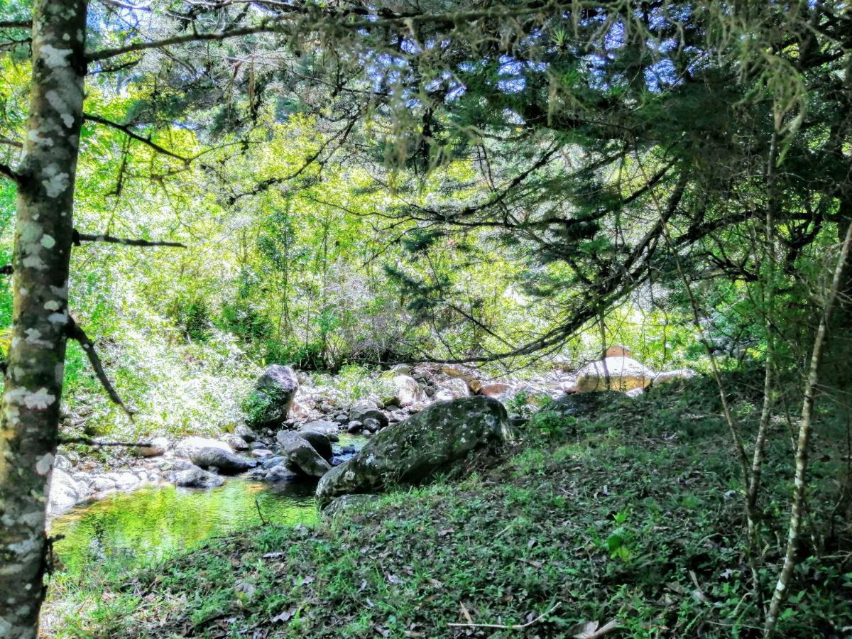 Cabana Mountain View Heredia Dış mekan fotoğraf