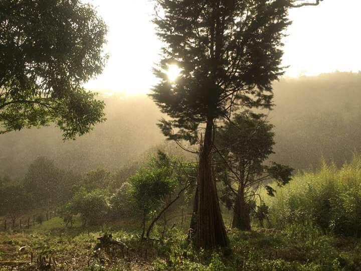 Cabana Mountain View Heredia Dış mekan fotoğraf